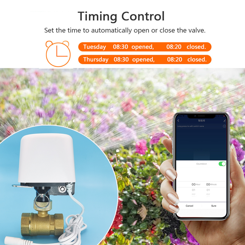 1/2インチ 3/4インチ 1インチ DN32 Tuya Z - Smart Home Proxmox のレビューと価格