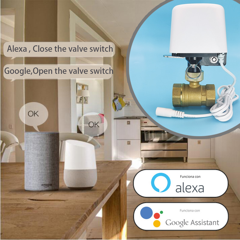 1/2インチ 3/4インチ 1インチ DN32 Tuya Z - Smart Home Proxmox のレビューと価格