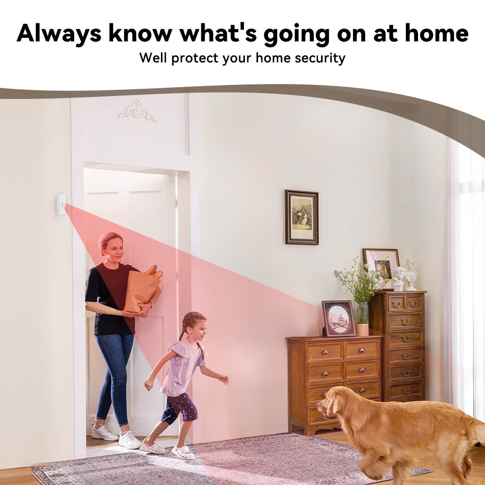 Tuya スマート PIR モーションセンサー スマートホー - Smart Home Wiser のレビューと価格