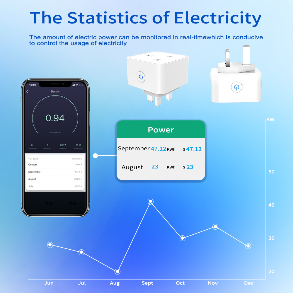 Tuya スマートソケット 16A/20A WiFi または - Smart Home Wiser のレビューと価格