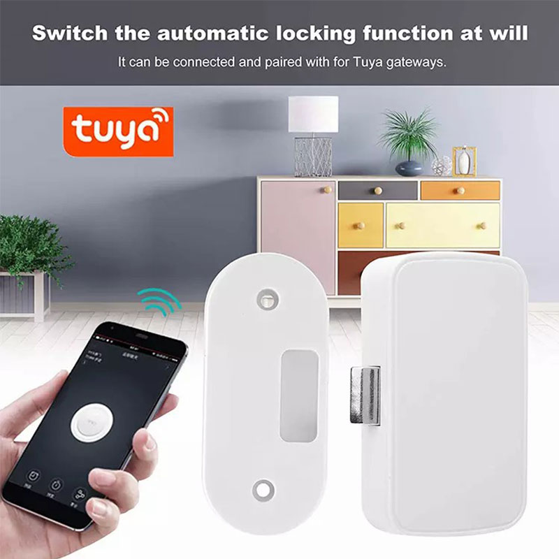 Tuya スマートホームファイルキャビネットロックワイヤレス - Smart Home Furniture のレビューと価格