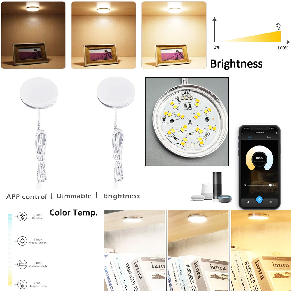 Zigbee 3.0対応 丸型デュアルホワイトLEDアンダー - Alexa Compatible Bulb のレビューと価格